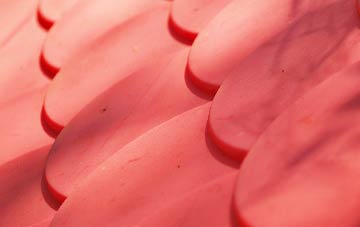 Paddlesworth plastic roof costs